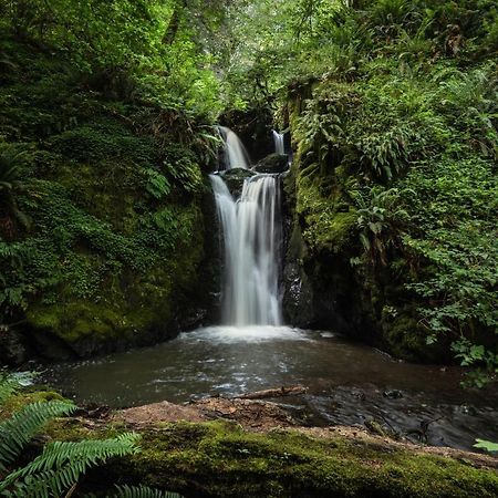 Taylor Creek Lodge Gold Beach Luaran gambar