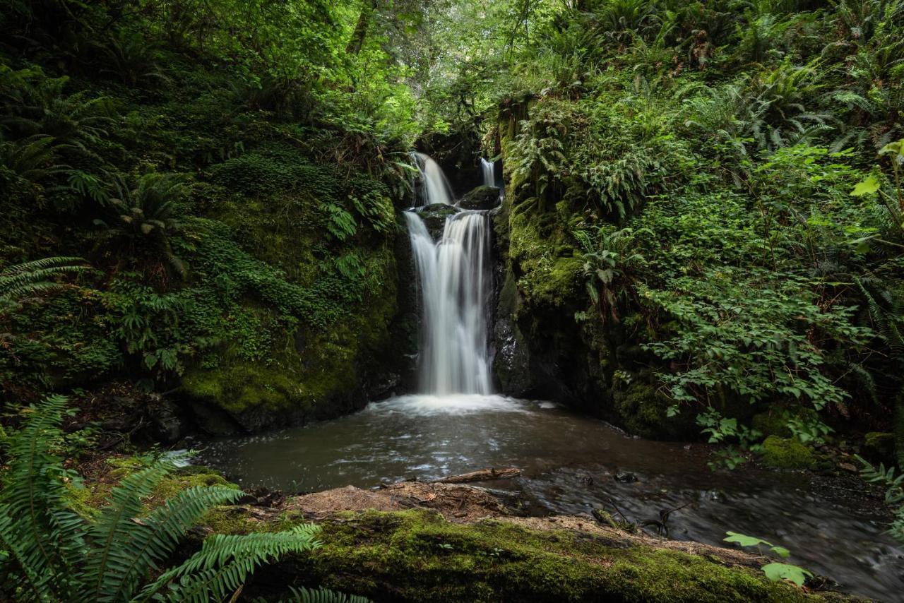 Taylor Creek Lodge Gold Beach Luaran gambar