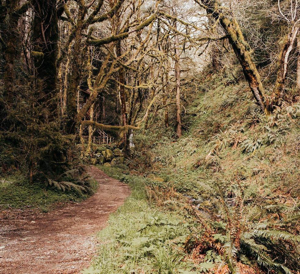 Taylor Creek Lodge Gold Beach Luaran gambar