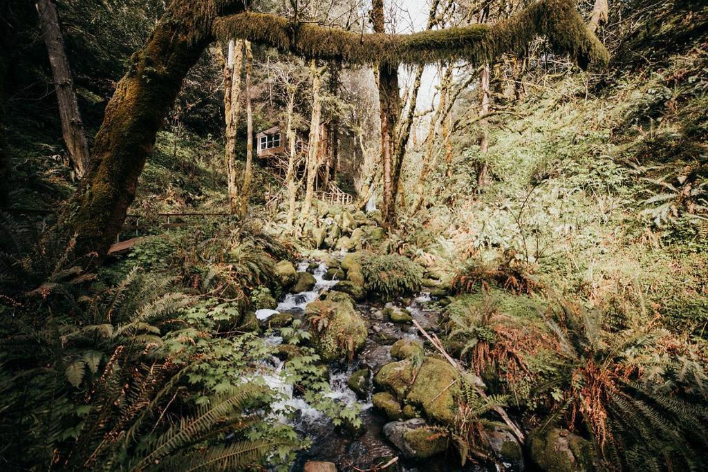 Taylor Creek Lodge Gold Beach Luaran gambar