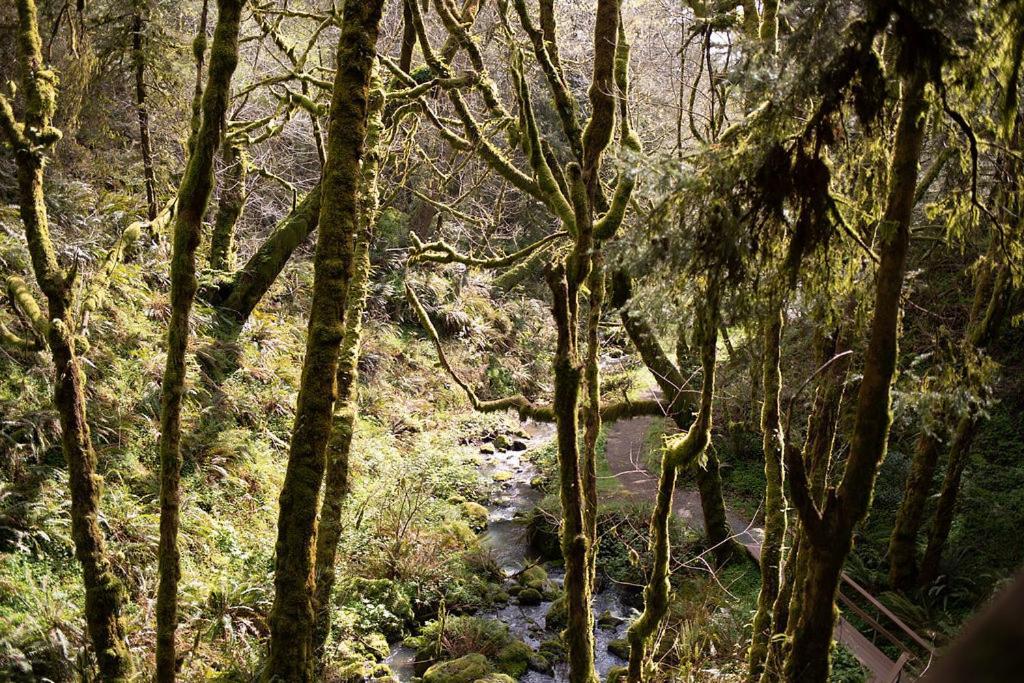 Taylor Creek Lodge Gold Beach Luaran gambar